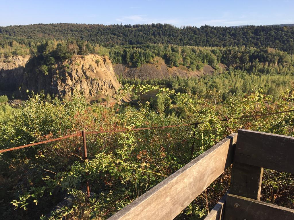 Wolfsbau Ferienwohnung Langelsheim Kültér fotó